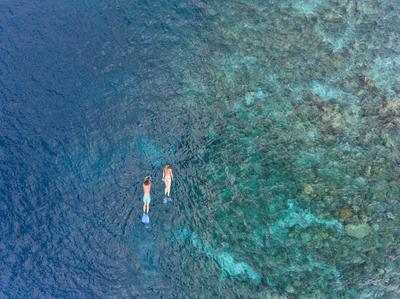 Snorkelling