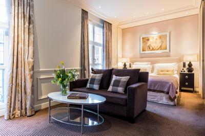 Junior Hotel Room