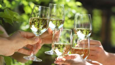 Wine Tasting