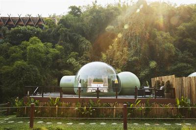 Exterior view of Jungle Bubble