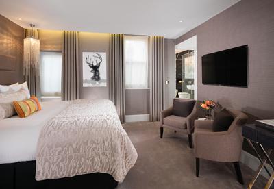 One Bedroom Suite