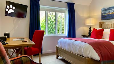 Comfy King Room