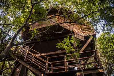 Treetop bungalow from the ground