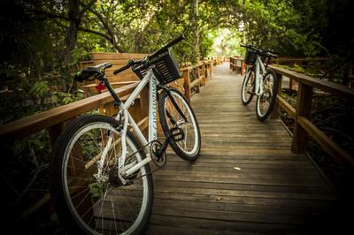 Bungalow Bycicles