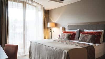 Wallberg Suite