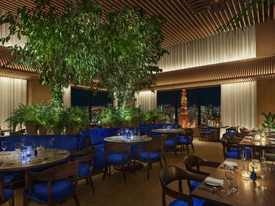 The Blue Room