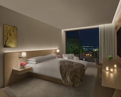 Terrace Suite, 1 Bedroom Suite, 1 King, City View, Balcony