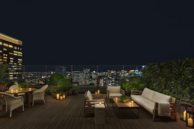 Terrace Suite, 1 Bedroom Suite, 1 King, City View, Balcony