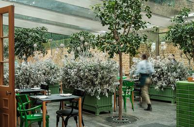 The Botanical Rooms