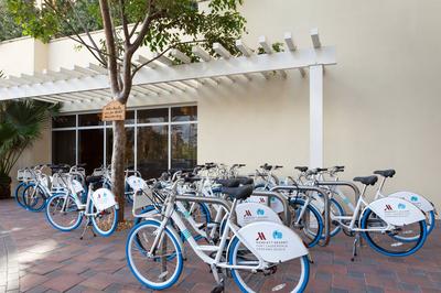 Bicycle Rentals