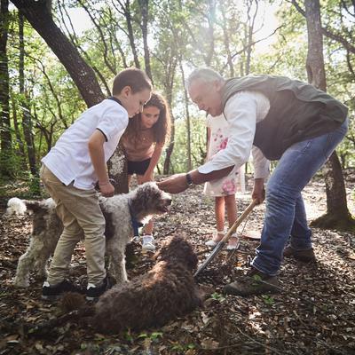 Truffle Hunting