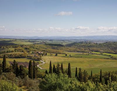 Local Area