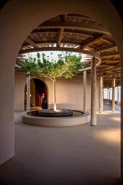 Tree of Life