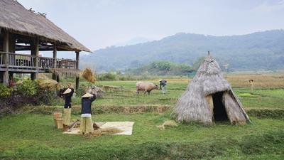 Laotian Farm