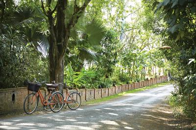 Biking