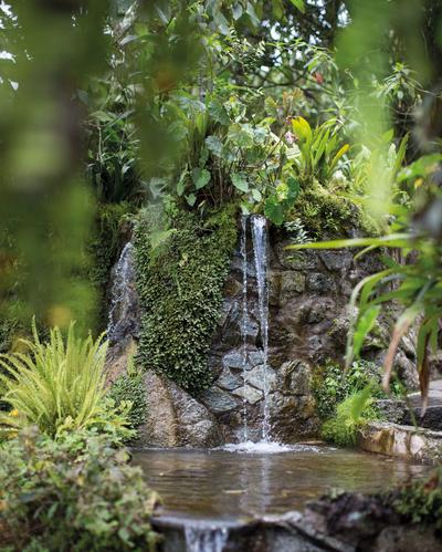 The Gardens