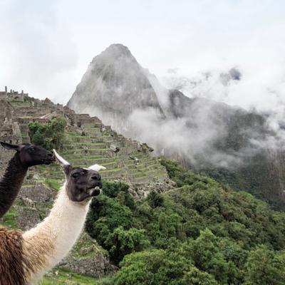Machu Picchu4
