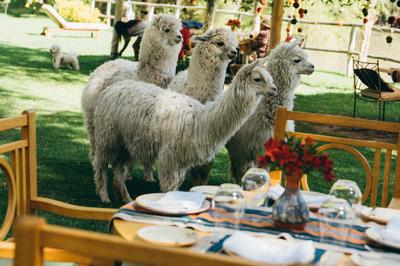 El Jardin Restaurant