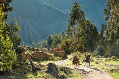 Horse Riding