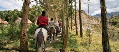 Horse Riding