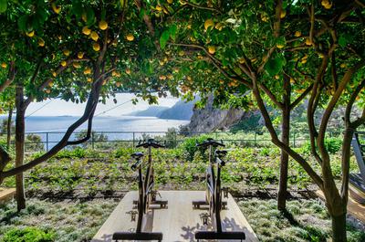 Fitness Area