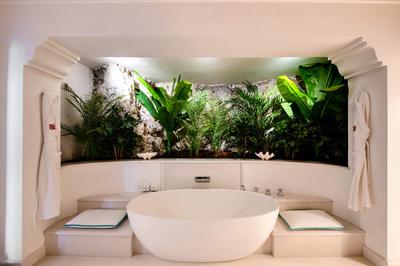 The Virginia Suite