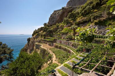 Vegetable Garden