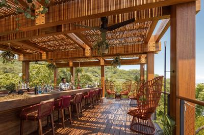 Treetop Bar