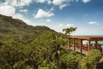 Treetop Bar