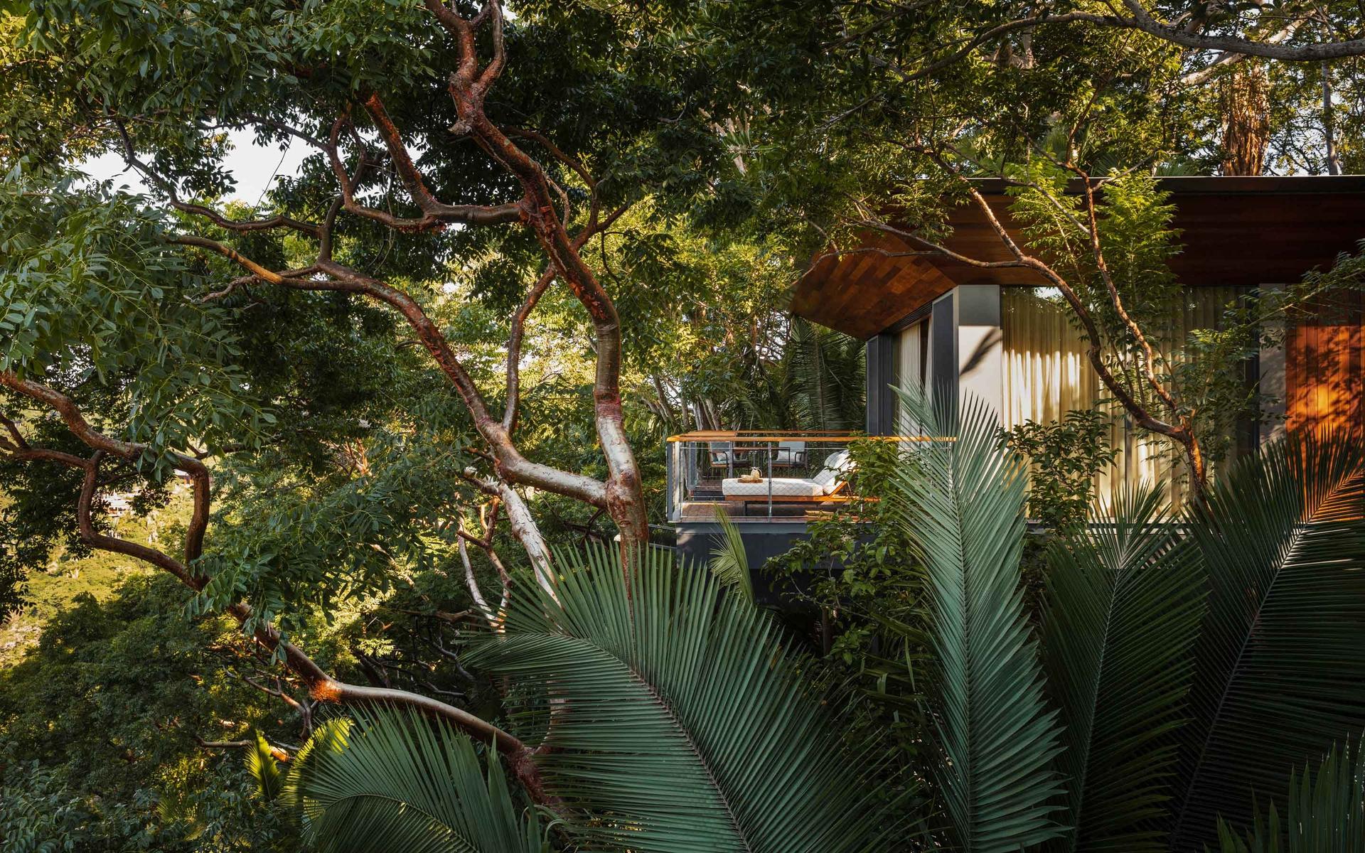 Treehouse