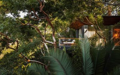 Treehouse