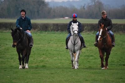 Horse Riding