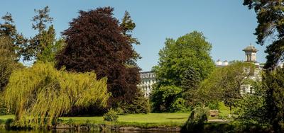 Garden Walks