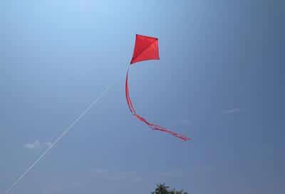 Kites
