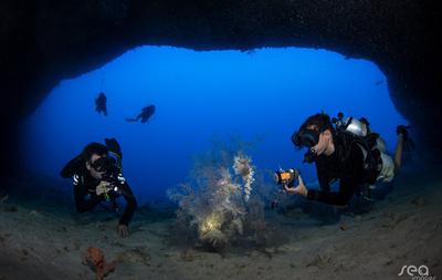 Diving & Snorkeling