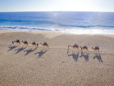 Outback & Camel Safari