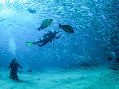 Scuba Diving