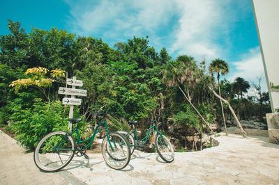 Bike Sharing