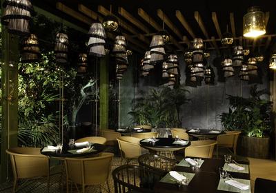 UME Restaurant