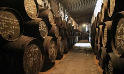 Wine Cellar