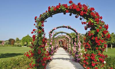 Gardens