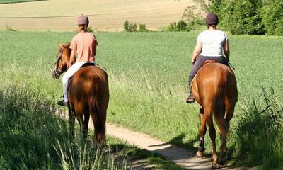 Horse Riding