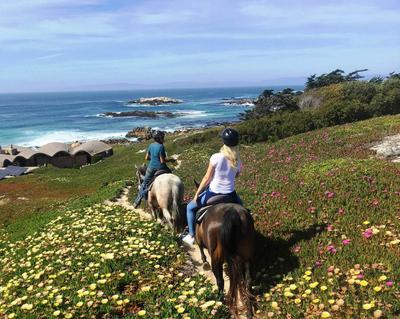 Horse Riding