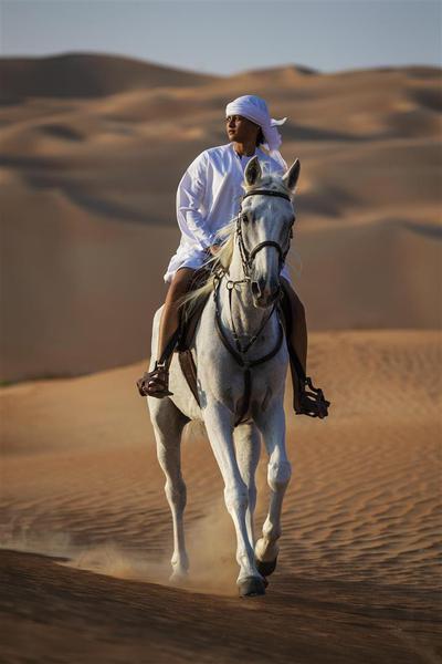 Horse Riding