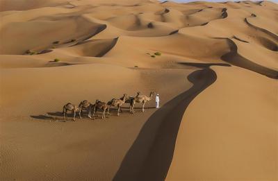 Camel Trekking