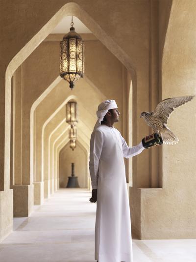 Falconry