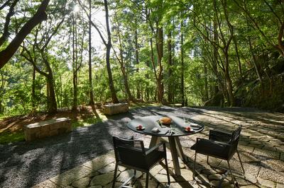 Zen Garden Dining
