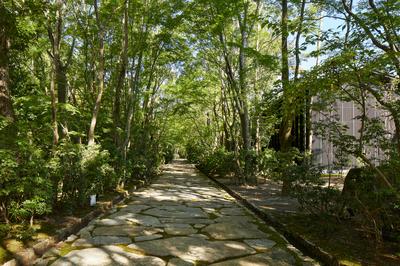Path to Spa and Rooms