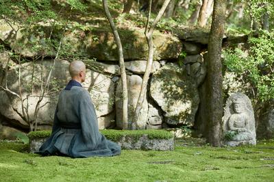 Meditation in Zen Garden