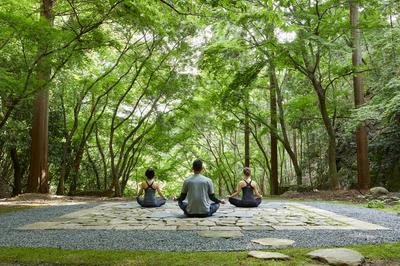 Meditation at Temgamine Garden